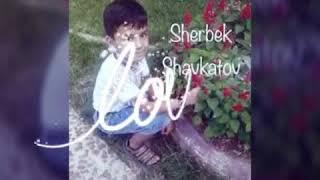 Sherbek Shavkatov "Diyorimsan"