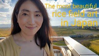 The most beautiful rice field art in Japan is in Aomori 　　　日本で一番綺麗な青森県の田んぼアート　