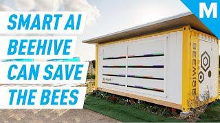 This Smart Beehive Uses AI To Save The Bees | Future Blink