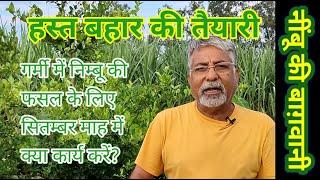 259. नींबू की हस्त बहार की तैयारी 2021।। Lime Hast Bahar preparation।।