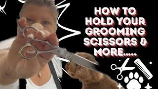 Best Tips For Holding Dog Grooming Scissors: Groom Like A Pro  | WendysPetSalon.co.uk