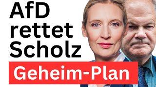 Keine Neuwahlen: Scholz Vertrauen aussprechen, Merz stoppen!