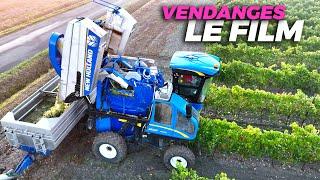 VENDANGES 2022 en région COGNAC - LE FILM