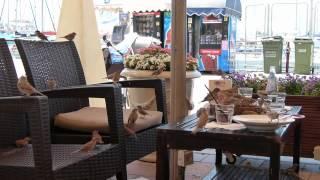 Birds in a cafe at the Herzliya Marina - Edna Rimon