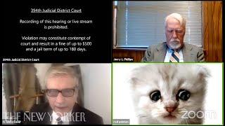 That Zoom Call with the Lawyer-Cat, Explained | The New Yorker