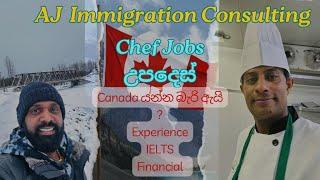 Canada Jobs|Chef jobs in canada|කැනඩා හීන බොද උන අයට උපදෙස්|Chef කෙනෙක්ගෙන් උපදෙස්