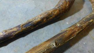 Make a Mullein Walking Stick -- Part 2