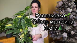 РАСПАКОВКА, поставки растений. ОБЗОР магазина Подводим ИТОГИ года