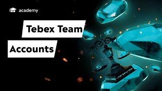 Tebex - Team Accounts