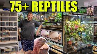 REPTILE ROOM TOUR APRIL 2022!!! | 75+ REPTILES!!