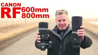 Canon 600mm & 800mm f11 lens review with Canon R5!