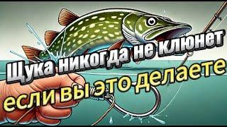 Делая это, вы никогда не поймаете щуку! Вот почему. #рыбалка #ловлящуки #советырбакам #щука