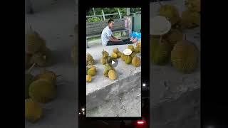 pencual durian yang lagi viral #viral #viralvideos #viraltiktok