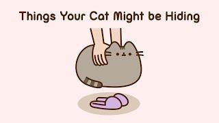 Pusheen: Things Your Cat Might be Hiding