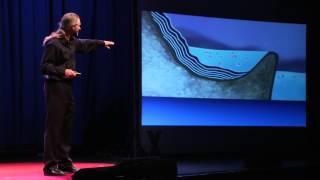 In the Beginning: The Origin & Purpose of Life | Dr. Bruce Damer | TEDxSantaCruz