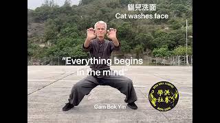 Hung Gar Movements #7 & Gam Bok Yin Thoughts. Hung Kuen Academy Hong Kong