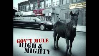 Gov`t mule - Endless parade