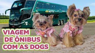 COMO FOI A VIAGEM DE ONIBUS COM AS DOGS