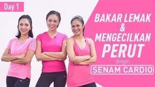 Bakar Lemak dan Mengecilkan Perut dengan Senam Cardio Dance