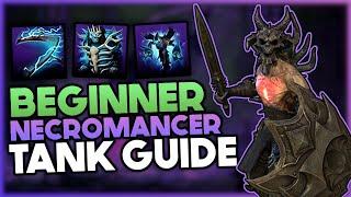 ESO Beginner Necromancer Tank Guide & Build for PvE | Sets, Skills, CP etc. | Update 44