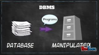 Introduction to database