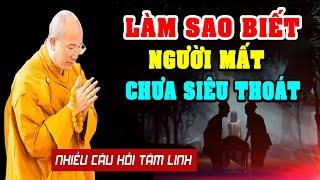 Làm sao biết Người Mất CHƯA SIÊU THOÁT - Thầy Thích Trúc Thái Minh