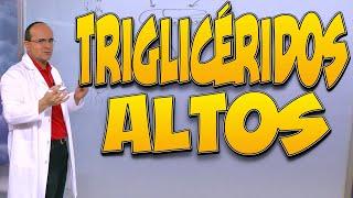 TRIGLICÉRIDOS ALTOS - ¿Cuáles son sus CAUSAS y qué CONSECUENCIAS puede tener para la SALUD?