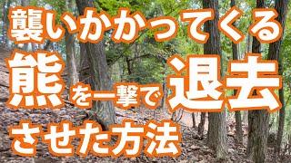 全ての登山者に見て欲しい。熊による事故防止に。熊に襲われた時の対処法