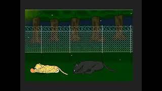 big cats short story animation@KO-MATION