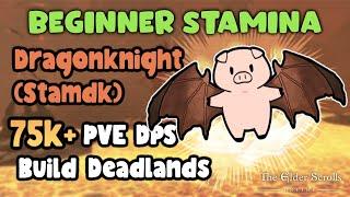 ESO Beginner Stamina Dragonknight (Stamdk) 75+ Dps PVE Deadlands Easy Rotation