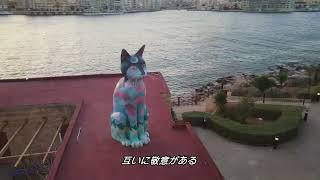 1/10（金）公開『ねこしま』本編映像解禁