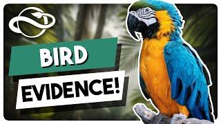 Planet Zoo WILL get BIRDS! Here is the Evidence