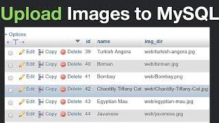How to Insert Images to MySQL and Display Them Using PHP