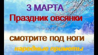 3 марта-праздник ОВСЯНКИ.Смотрите под ноги.Плохой знак.Хороший знак.Народные приметы