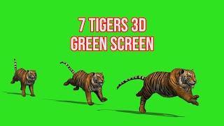 4K - 7 Tigers 3D Green Screen || By GreenPedia
