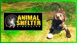 ПОЛНАЯ ВЕРСИЯ ПРИЮТА ДЛЯ ЖИВОТНЫХ ● Animal Shelter Simulator #1