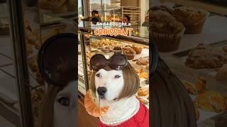 The story of the Croissant #croissant #french #meme #karen #funny #cute #dogs #walter