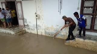 Crocodiles on the flooded streets of Vadodara