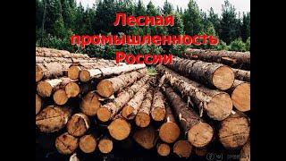 9 класс - Лесная промышленность России