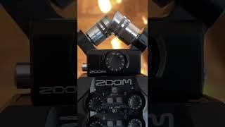 Do They Have Guitar Effects? Zoom H5 vs H8