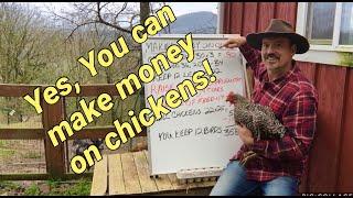 Yes you can make money on chickens, this is what I did.