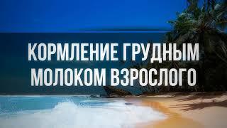 253. Кормление грудным молоком взрослого || Ринат Абу Мухаммад