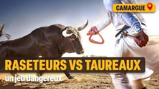 Courses camarguaises : ces hommes défient ces animaux sauvages