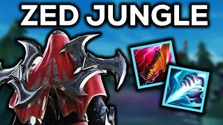 ZED, BUT HE IS THE JUNGLER. (detailed guide)