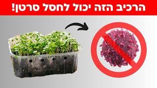 מעל 2000 מחקרים הוכיחו: הרכיב הזה יכול לחסל סרטן!