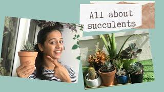 Succulent care for beginners| Garden Vibes