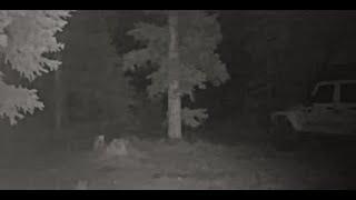 SHOCKING FOOTAGE!! TRAIL CAM CAPTURED THESE THINGS CLOAKING!!