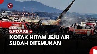 Kotak Hitam Jeju Air Ditemukan, Korban Bertambah Jadi 167