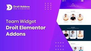 Team Widget | Droit Addons for Elementor