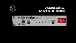 Oberheim Matrix-1000 Analog Synthesizer (1987) - some sounds